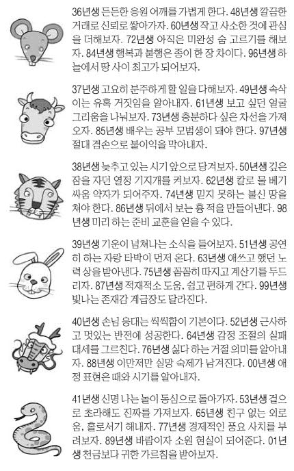 사진설명